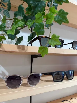 Lunettes de soleil pour homme à Ramonville Saint Agne et Castanet Tolosan