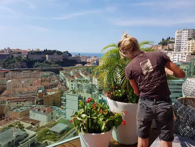 Entretien d'espace privatif à Monaco