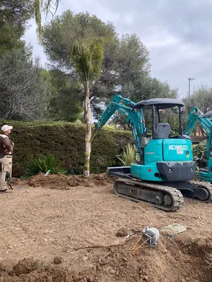 Travaux de plantation à Monaco
