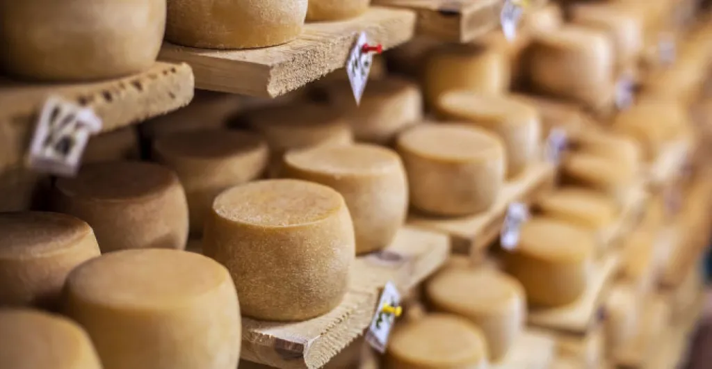 Traitement des eaux blanches de fromagerie avec micro station d épuration, Var