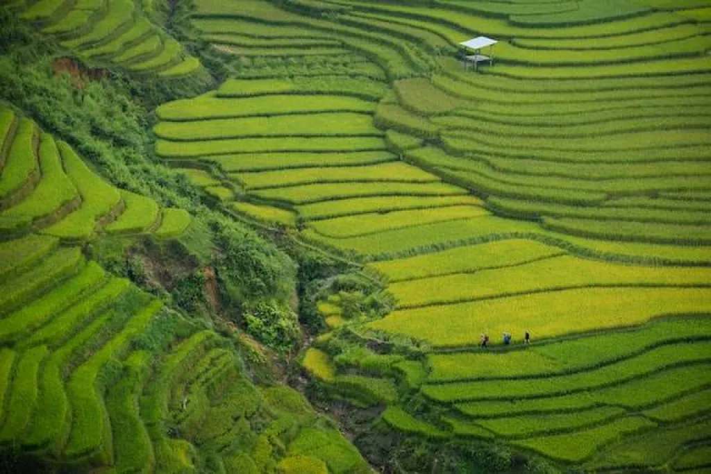 Apprenez le Vietnamien à Paris avec des Cours Particuliers en Visioformation !