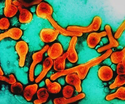 Obtenir une indemnisation après une infection nosocomiale et sécuriser votre réparation corporelle avec un avocat dédié aux victimes à Marseille