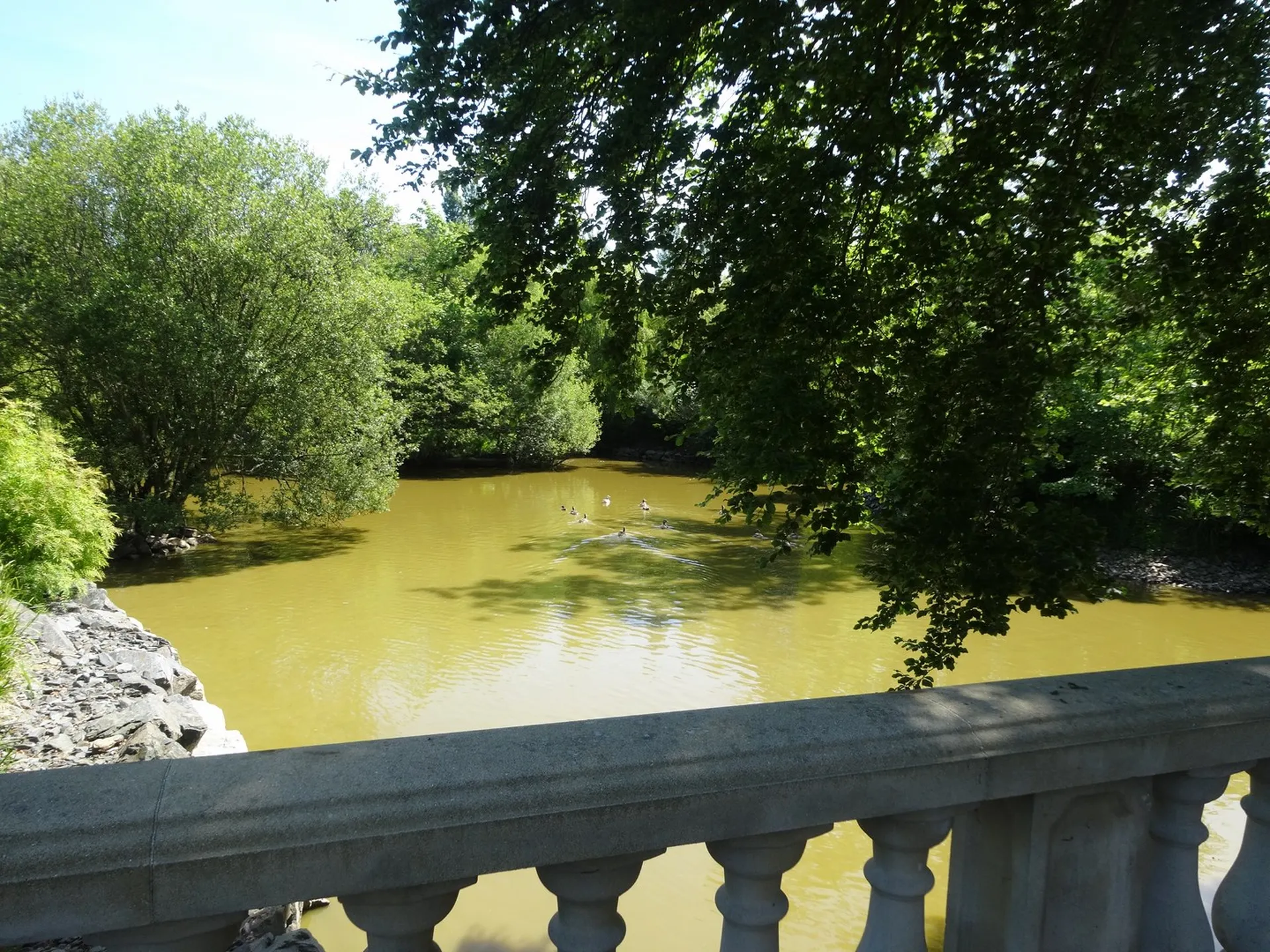 Etang proche Suisse Normande