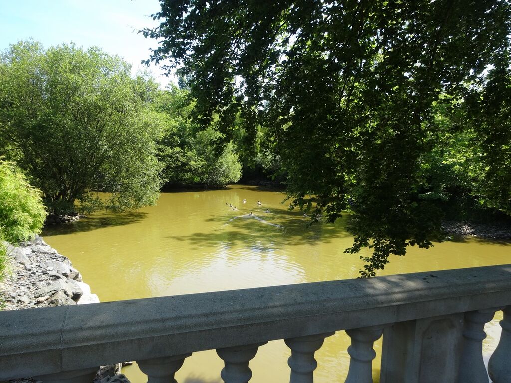 Etang proche Suisse Normande