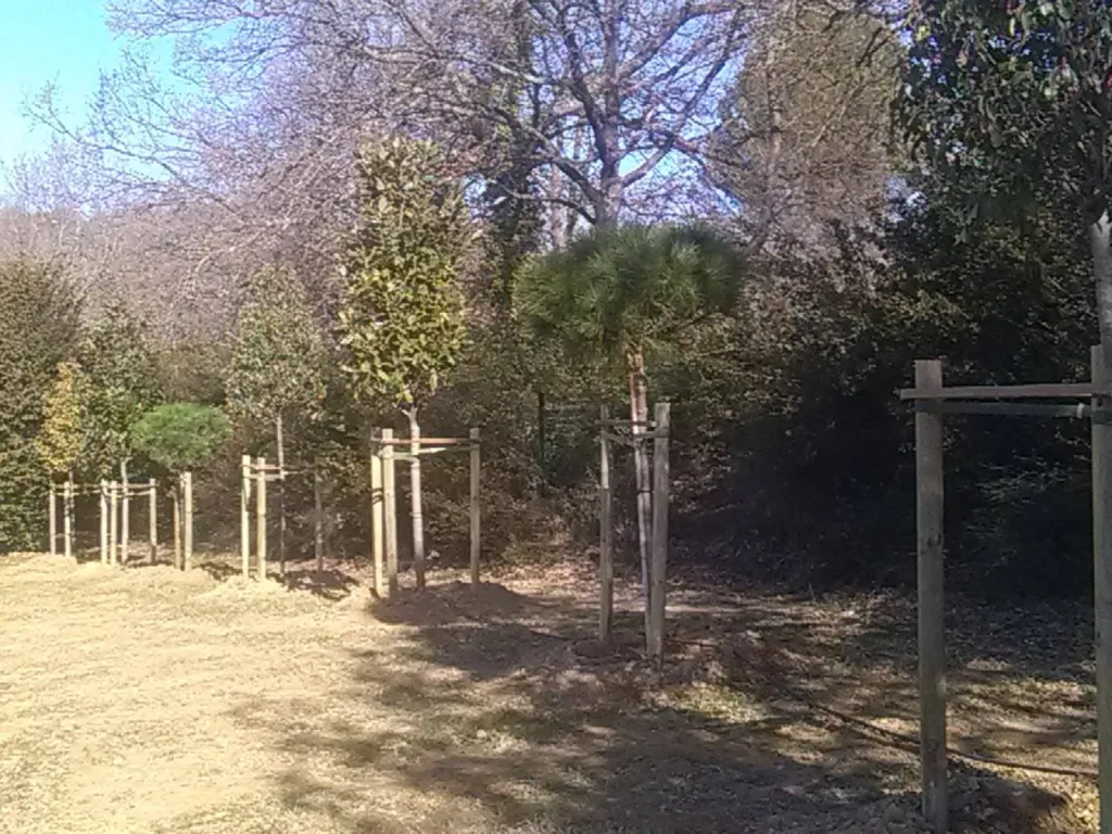 Role d une haie Aix en Provence