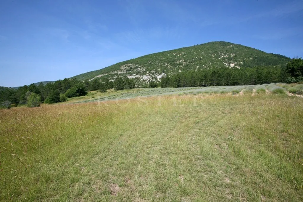 Superbe ensemble de bâtiments au coeur de + de 28 hectares  proche du mont Ventoux  