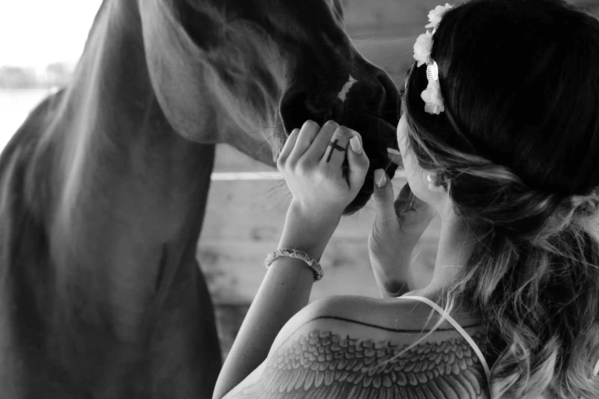 comment se sent mon cheval ? 