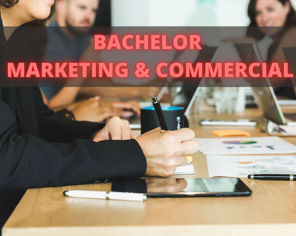Formation Bachelor Responsable du Développement Commercial à Marseille - spécialité Marketing Digital - Titre RNCP de niveau 6