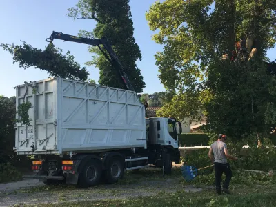 Protéger une maison avec l'abattage d'un platane à Avignon