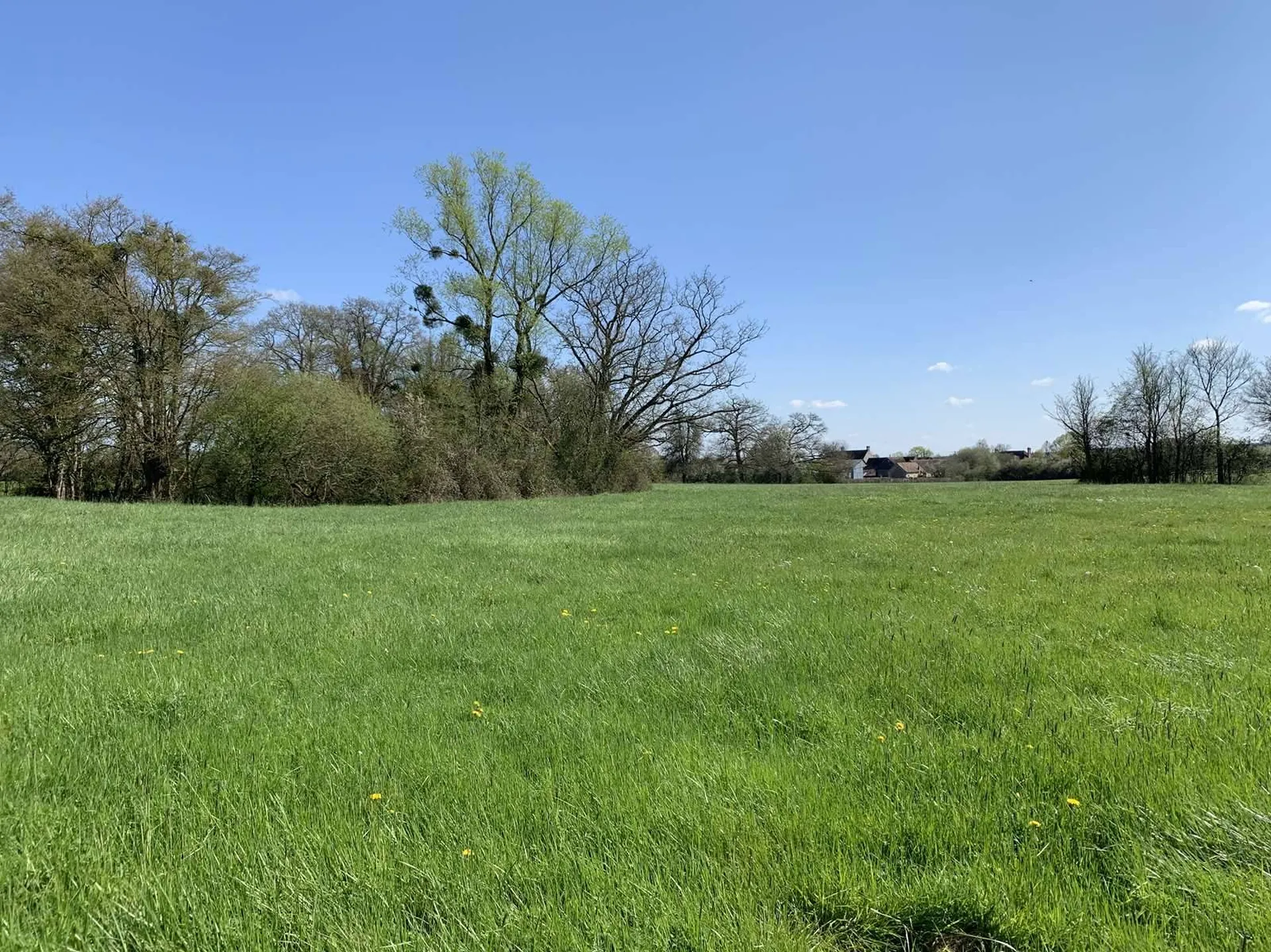 A acquérir, dans le Pays d'Auge, dans le secteur des HARAS dans le département de l'ORNE 61, entre ALMENECHES 61570 et LE HARAS DU PIN 61310, domaine agricole sur 47 hectares.