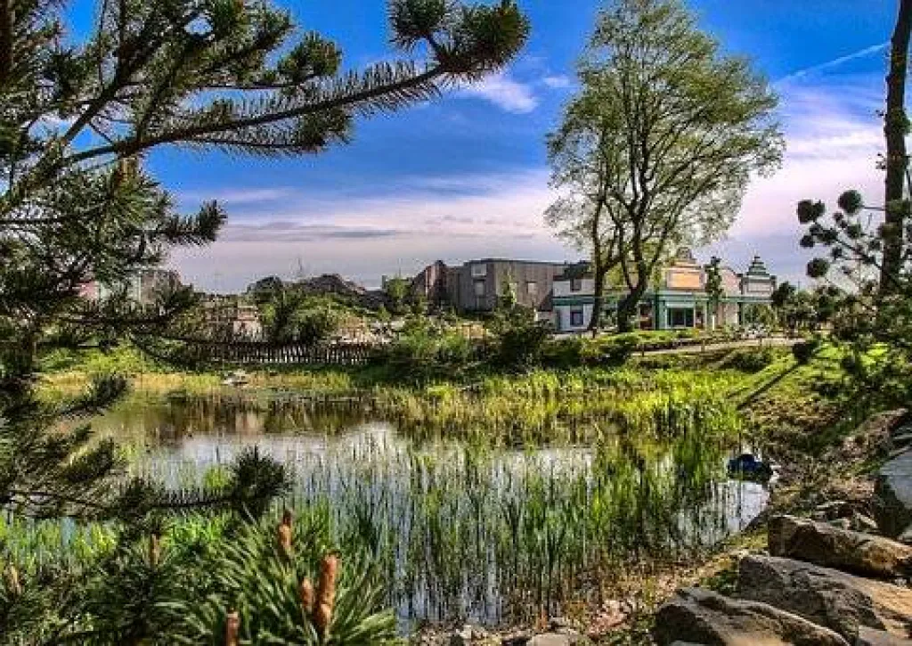 Entretien fosse septique Marseille