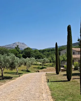 Carré Vert, paysagiste à Saint-Rémy-de-Provence 13210, dans les Alpilles, pour l'entretien de vos espaces verts avec expertise et passion