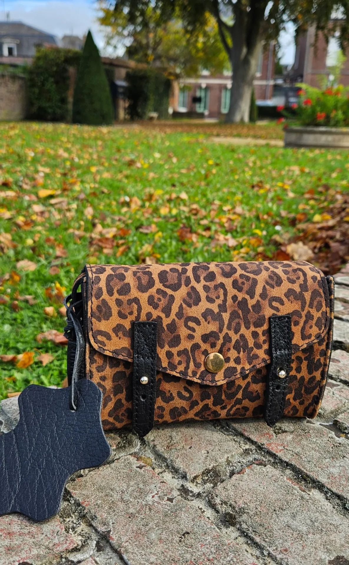 Le Mini Indispensable Léopard noir de Paul Marius indisponible chez Evasion Eu