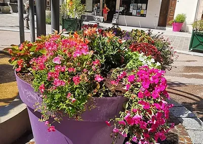 Fleurissements de villages