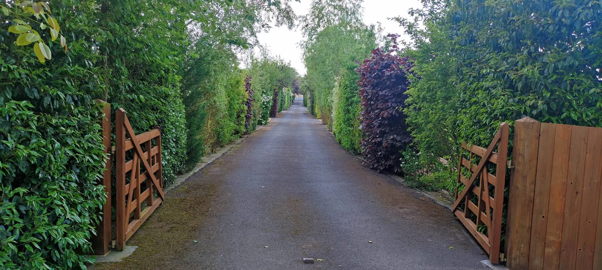 A visiter, à 5 minutes de la gare de MEZIDON-CANON (14270) et à 30 minutes de CAEN (14000) et de CABOURG (14390), propriété équestre de caractère avec forage, paddocks, hangar et maison familiale.