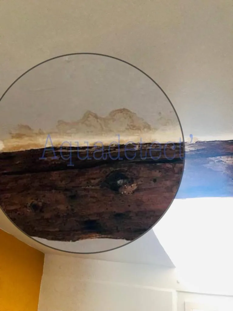 Nos prestations sur le secteur deMarseille Roucas Blanc