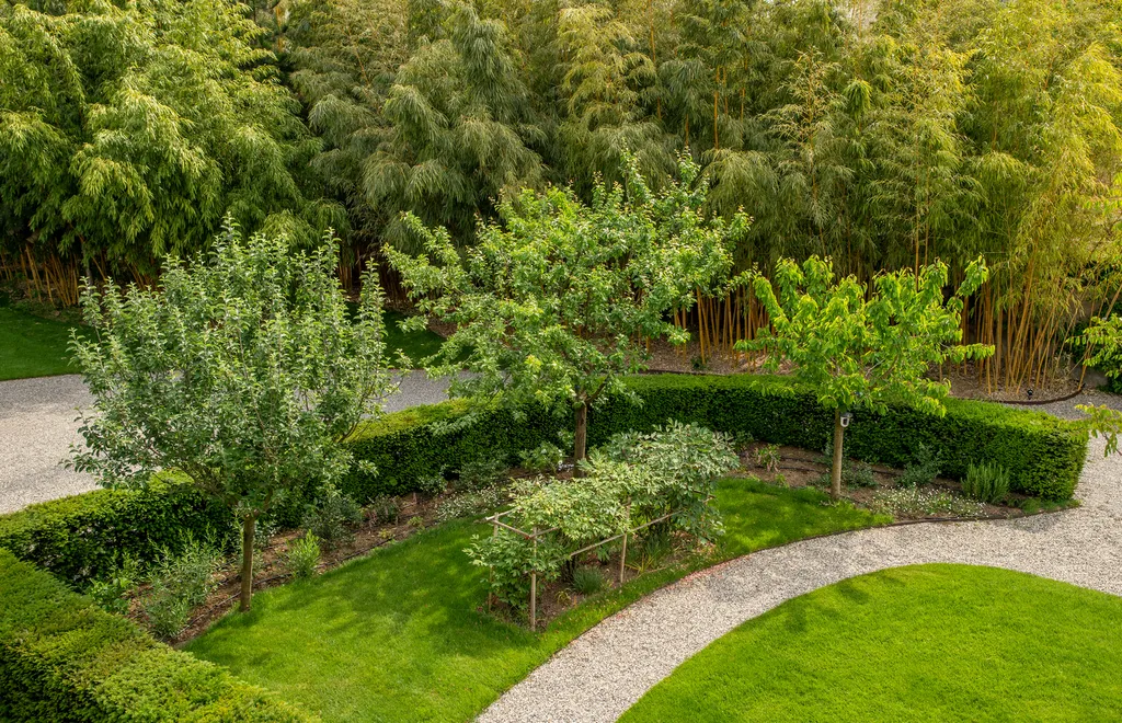 Aménagement paysager complet avec arrosage automatique intelligent et gazon de plaquage à Caluire-et-Cuire (69300)