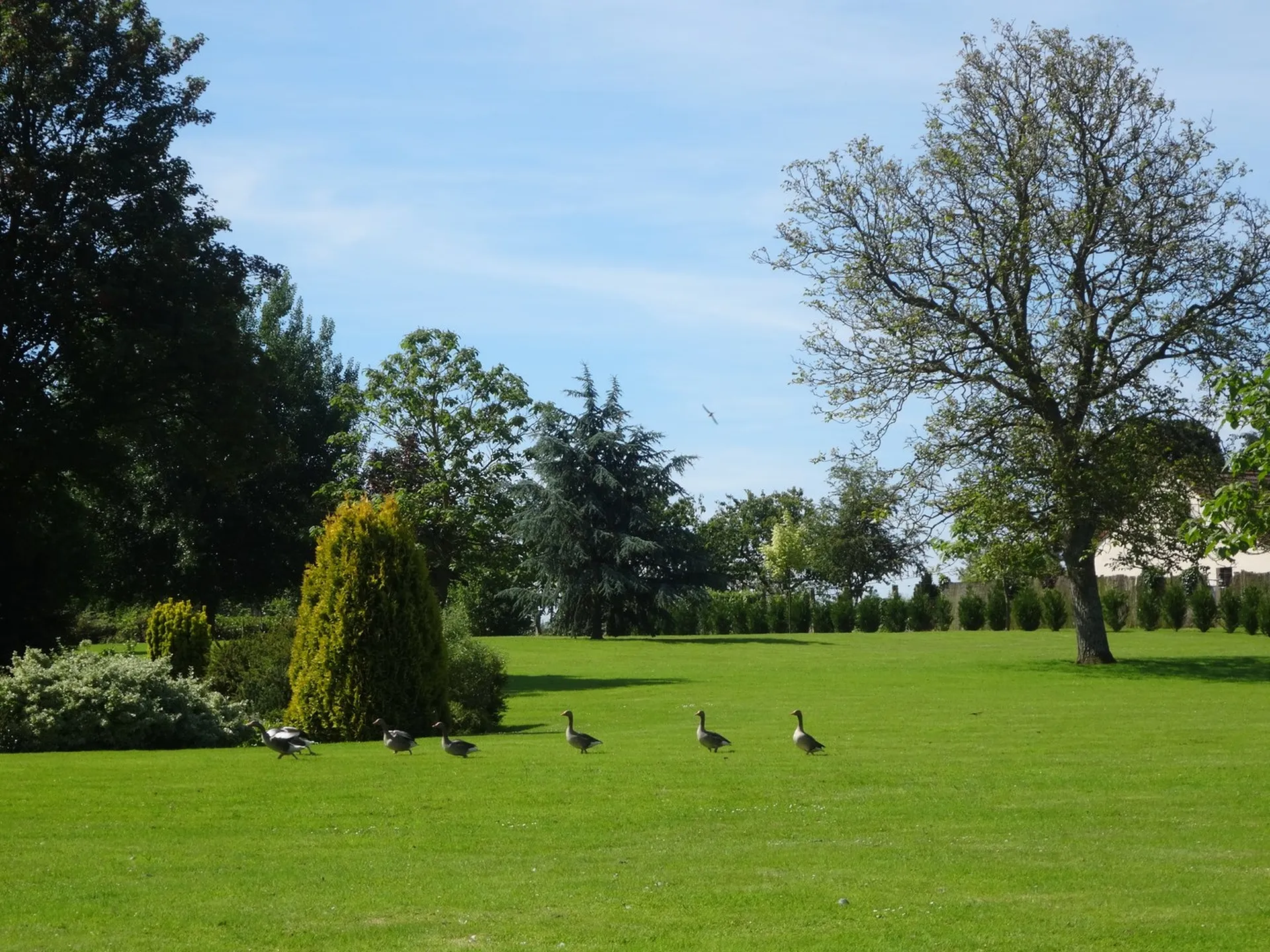 MANOIR proche Caen (région Pré-Bocage)