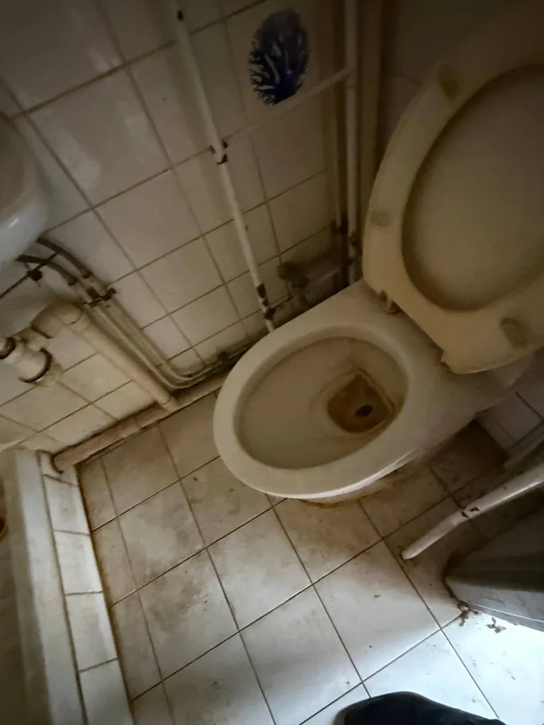 WC avant intervention 