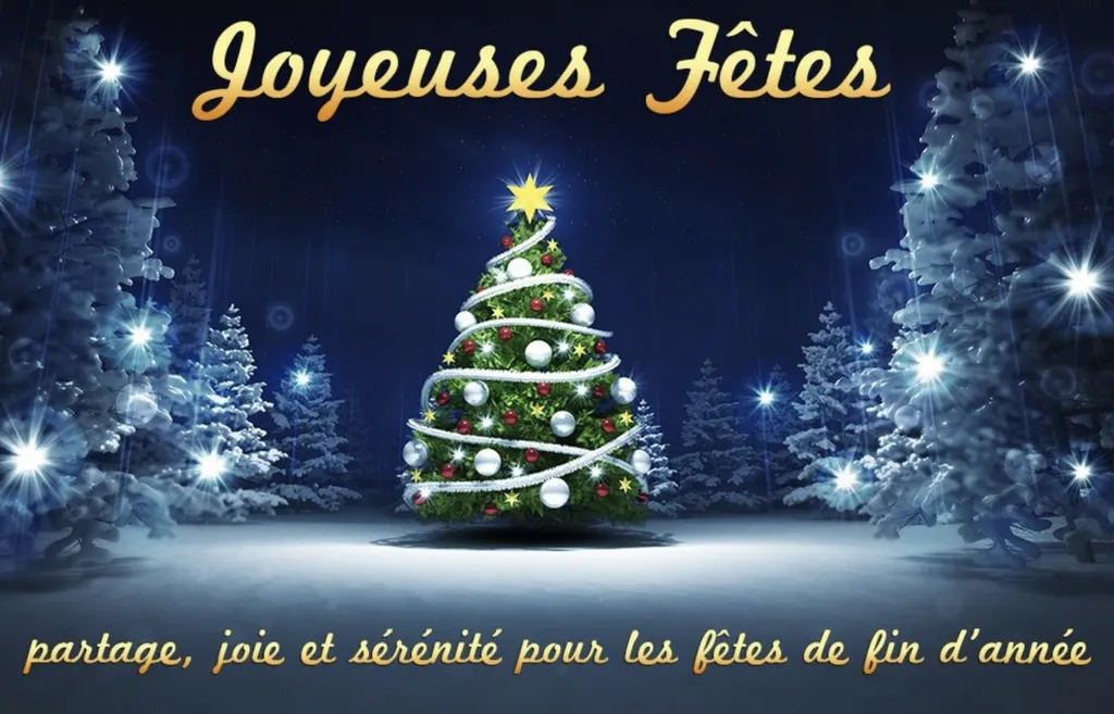 sapin de noel chez alliance piscines  au fil de l'eau