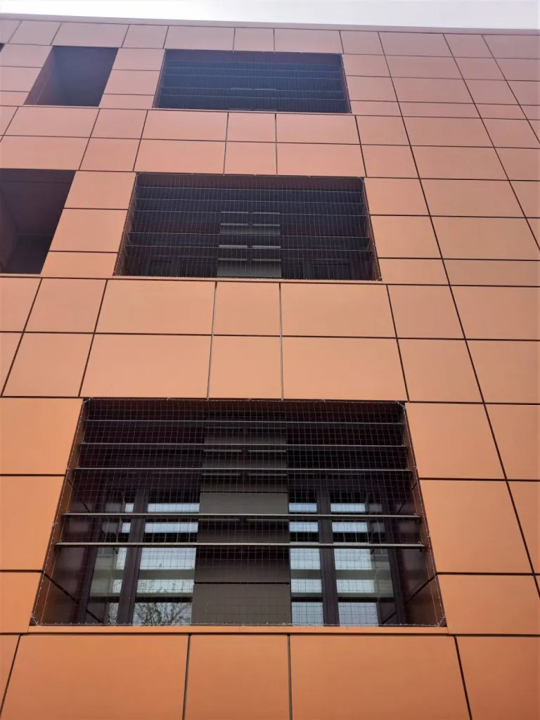 lycée genevoix pigeon