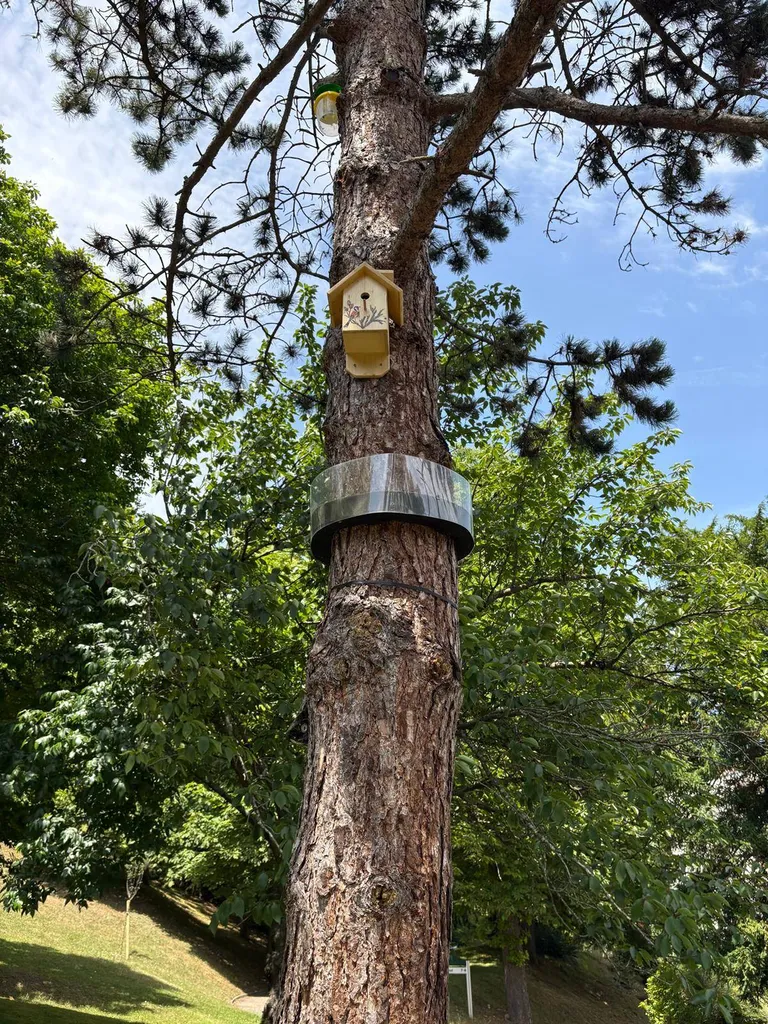 Nichoir à mésange