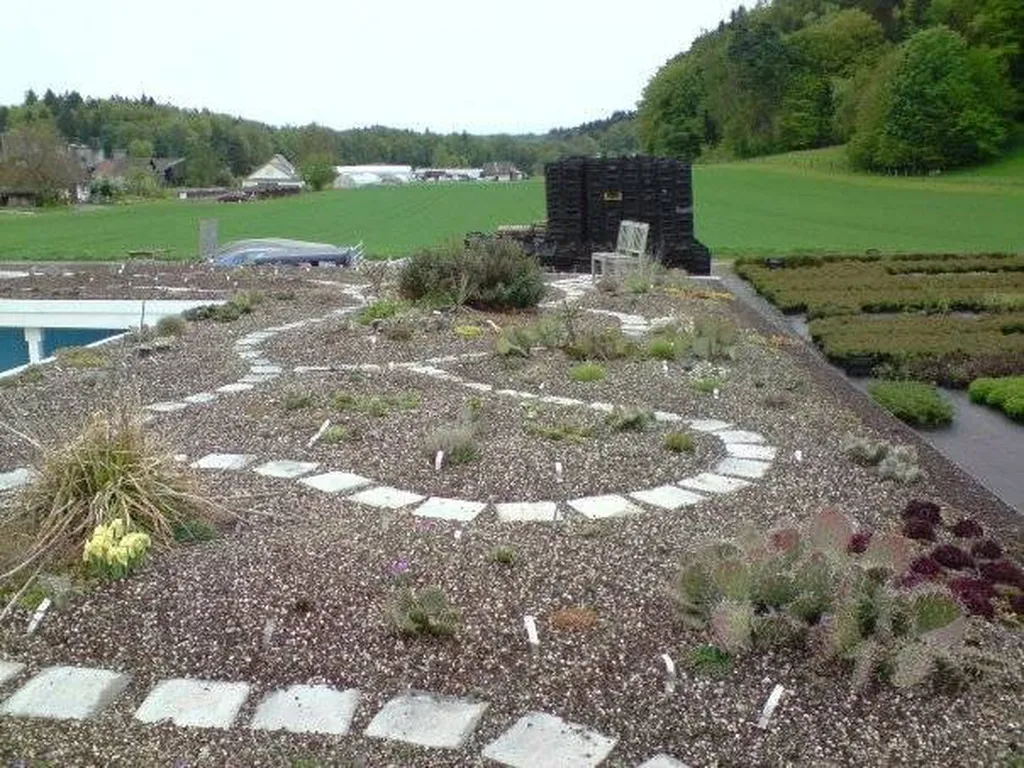 Créer une prairie fleurie près de Biscarrosse : Une solution pour la biodiversité dans votre jardin