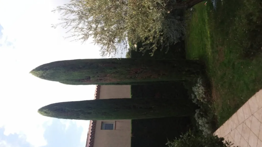 Nos prestations sur le secteur deà Saint Cannat près de Puyricard