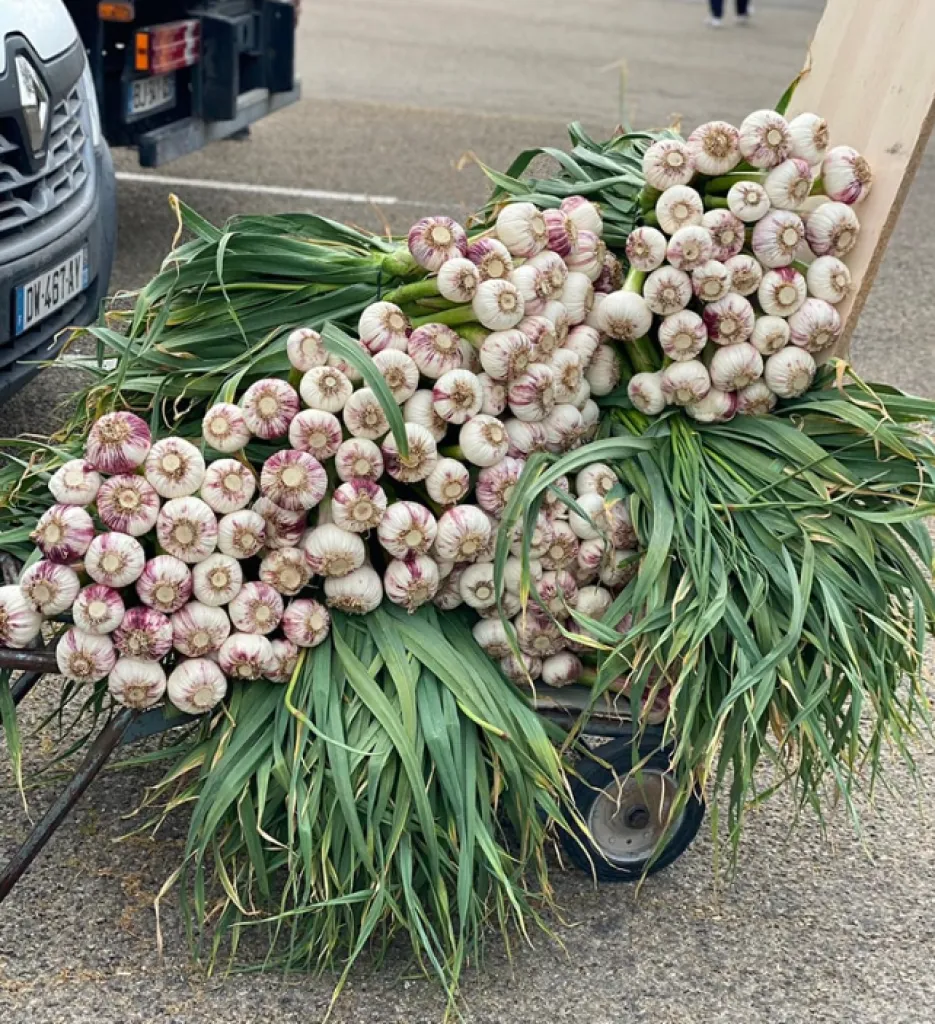 producteurs locaux aix en provence