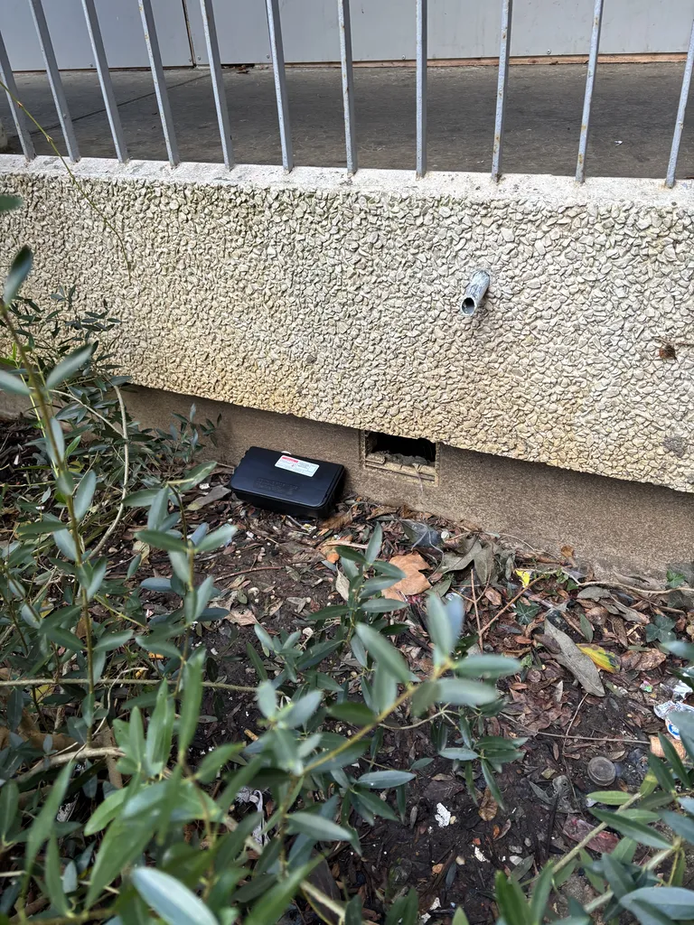 Pose de box à souris à Rillieux-la-Pape