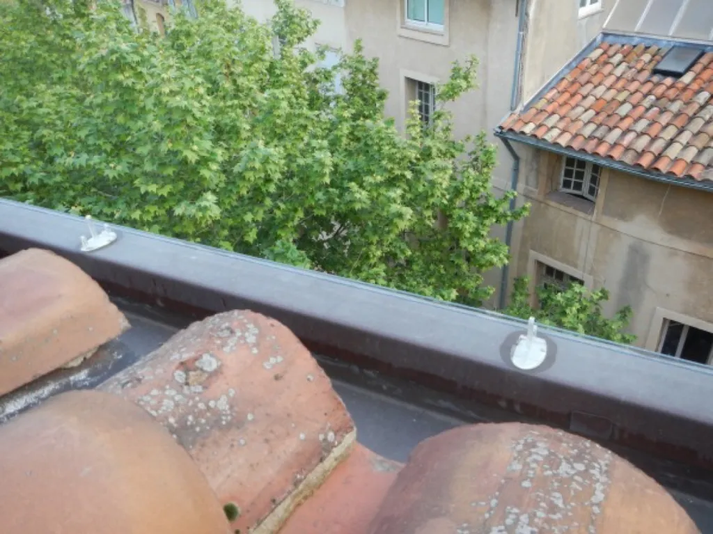 aix en provence pigeons 13100