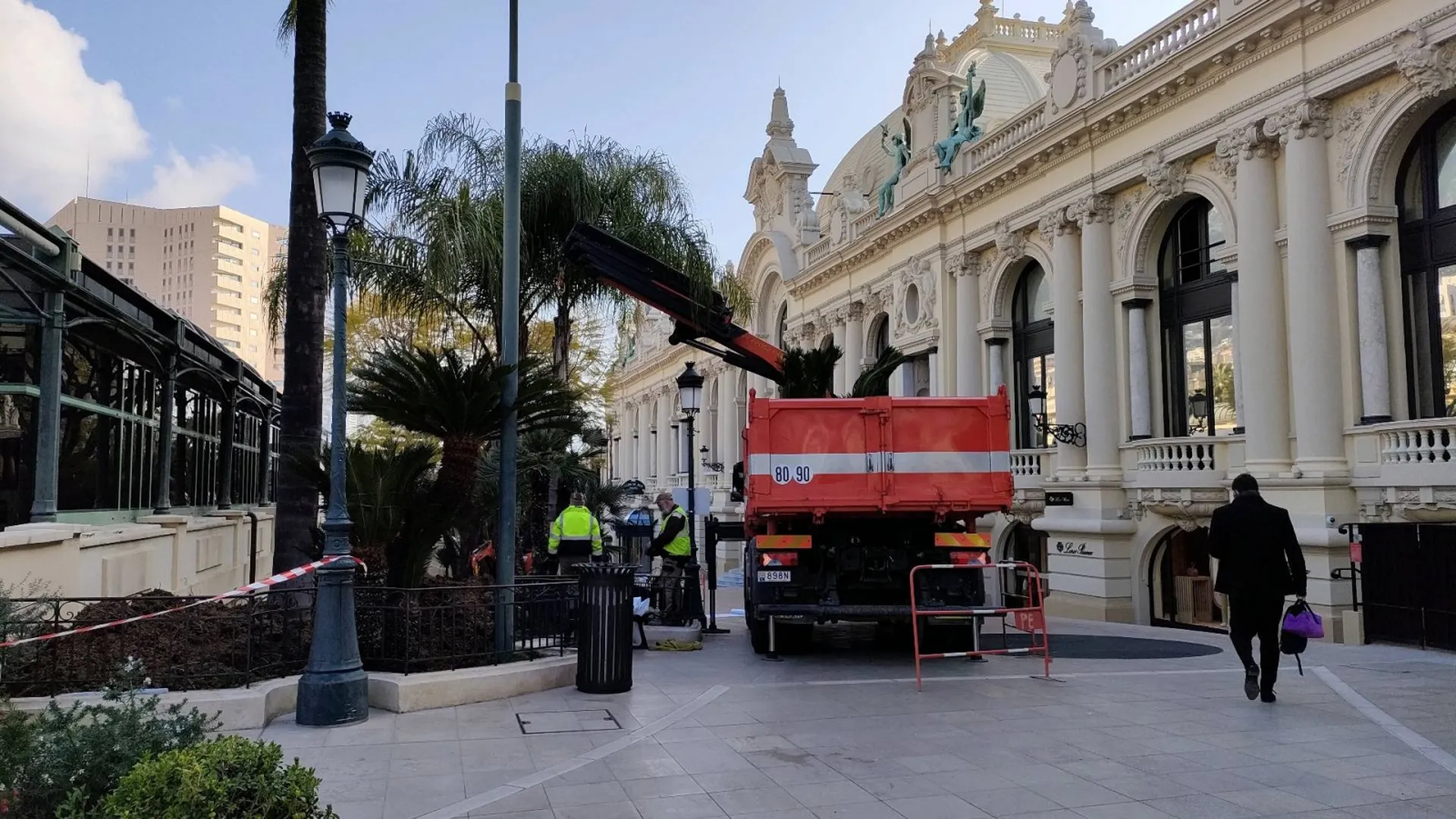 Transplantation sur la place du casino à Monaco