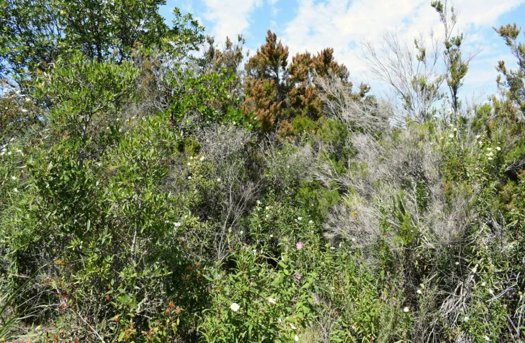 Notre zone d'activité pour ce serviceJardinier pour débroussaillage de jardin, de chemin et de terrain