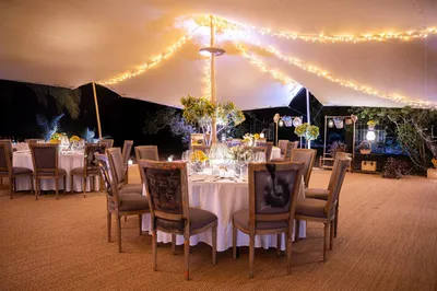 Une saison de mariages réussie !