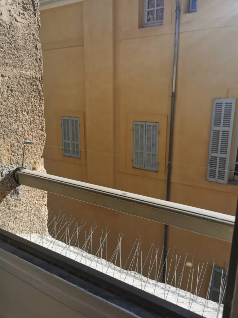 fil tendu et pic pigeon cour mirabeau aix 13100