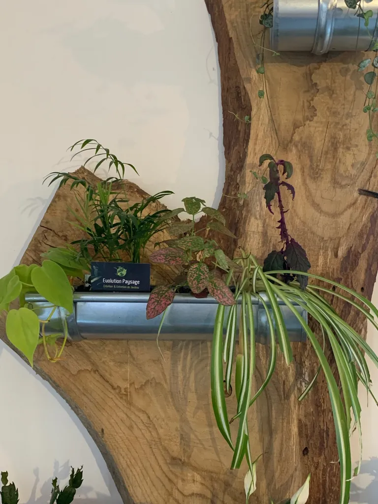 création de tableau végétal dans les Landes