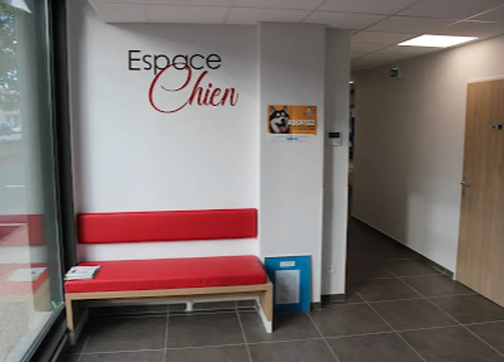 Création d'une clinique vétérinaire à saint georges de reneins rhone