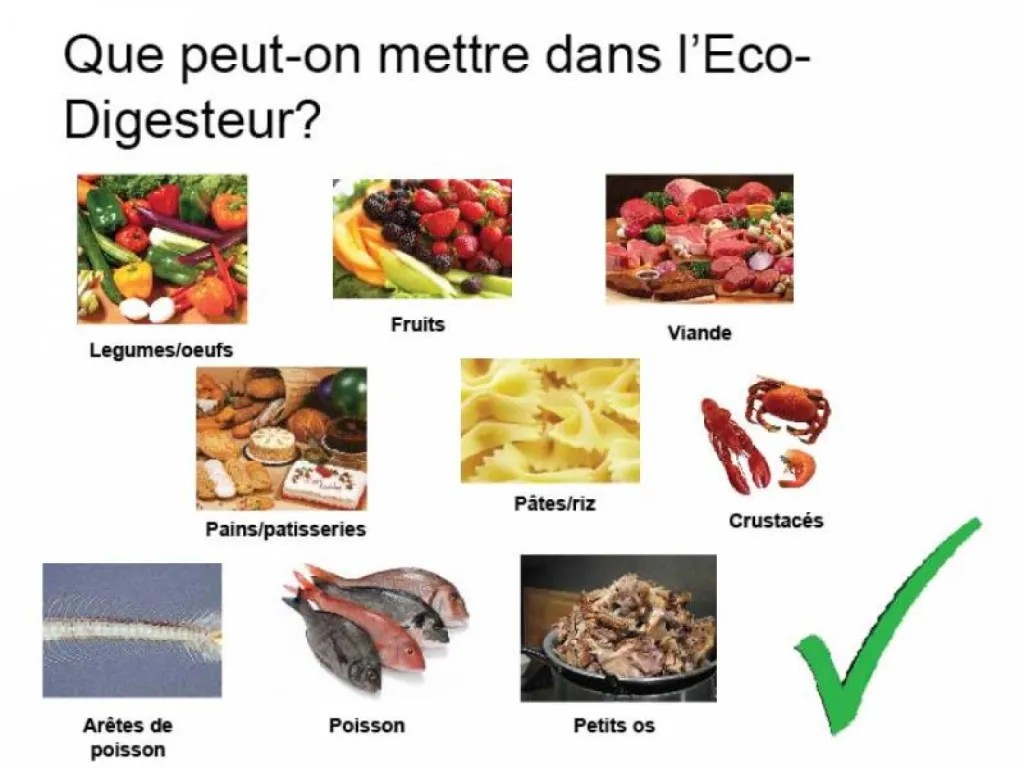 déchets alimentaire de viande, de poisson, de legumes, d'oeufs, de pain, de pâtisseries, de riz