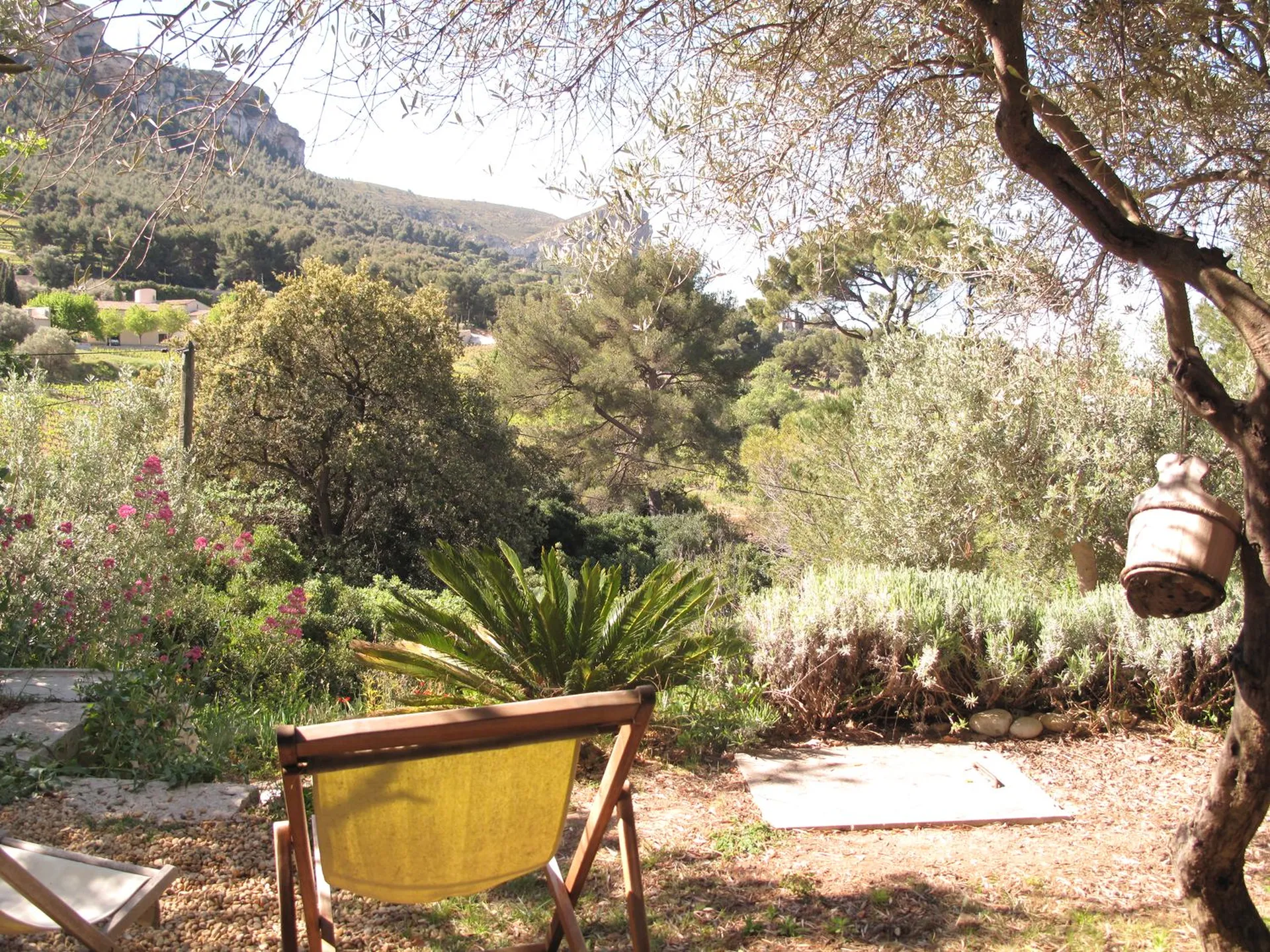 Nombreuses terrasses