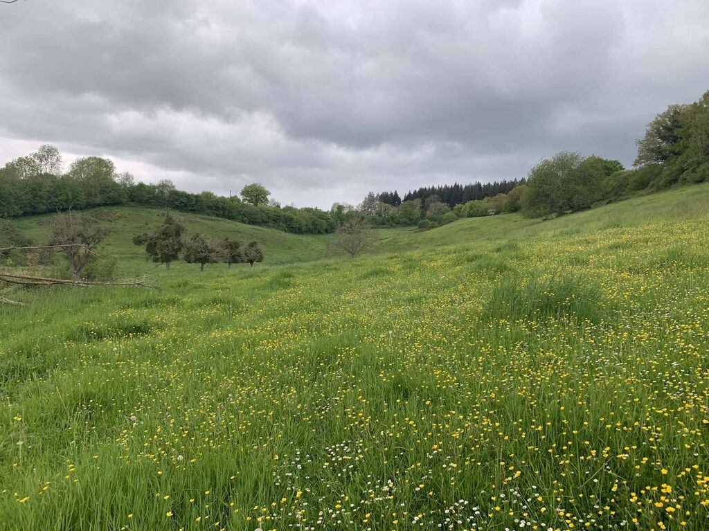 A vendre TERRAIN AGRICOLE DE 6HA 37A, dans la région de VIMOUTIERS 61120