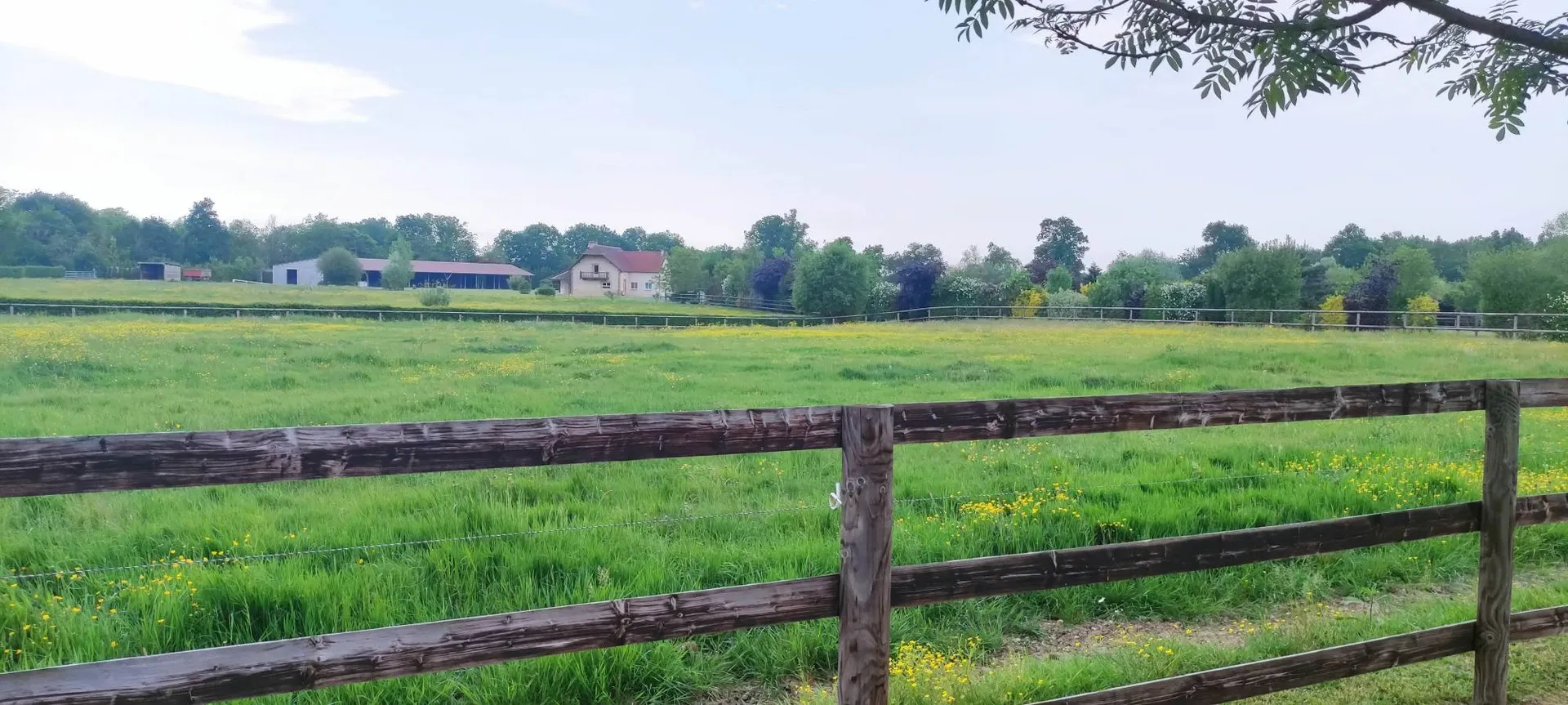 Visite, à 5 minutes de la gare de MEZIDON-CANON (14270) et à 30 minutes de CAEN (14000) et de CABOURG (14390), propriété équestre de caractère avec forage, paddocks, hangar et maison familiale.