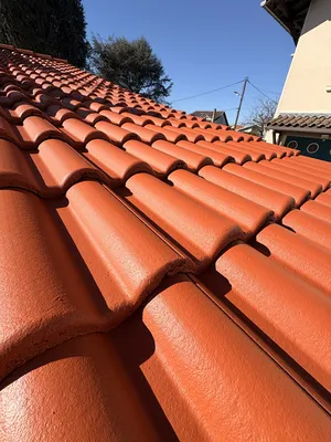 Nettoyage Toiture et traitement Hydrofuge, Coloré