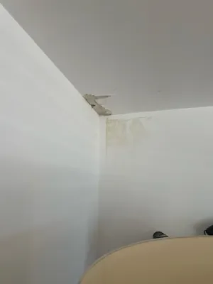 Intervention d'un spécialiste pour détecter une fuite sans destruction suite à un dégât des eaux à Mérignac en Gironde