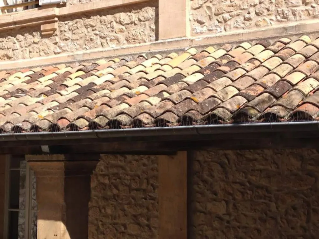 pic anti pigeon pour gouttières oisipics salon de provence 13300