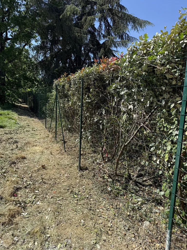 Pose de clôture souple verte 1m80 à Saint-Jean proche Toulouse : installation clôture jardin et sécurisation terrain par LT PAYSAGE