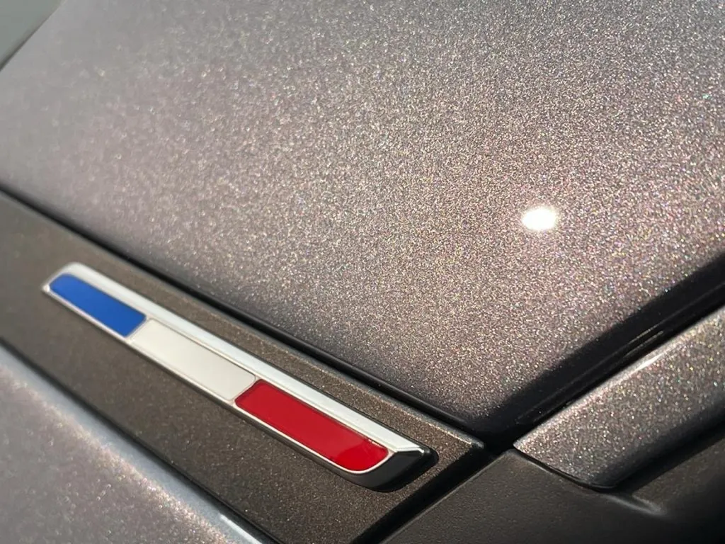 ALPINE A110 GT PROTECTION CÉRAMIQUE À CARNOUX EN PROVENCE