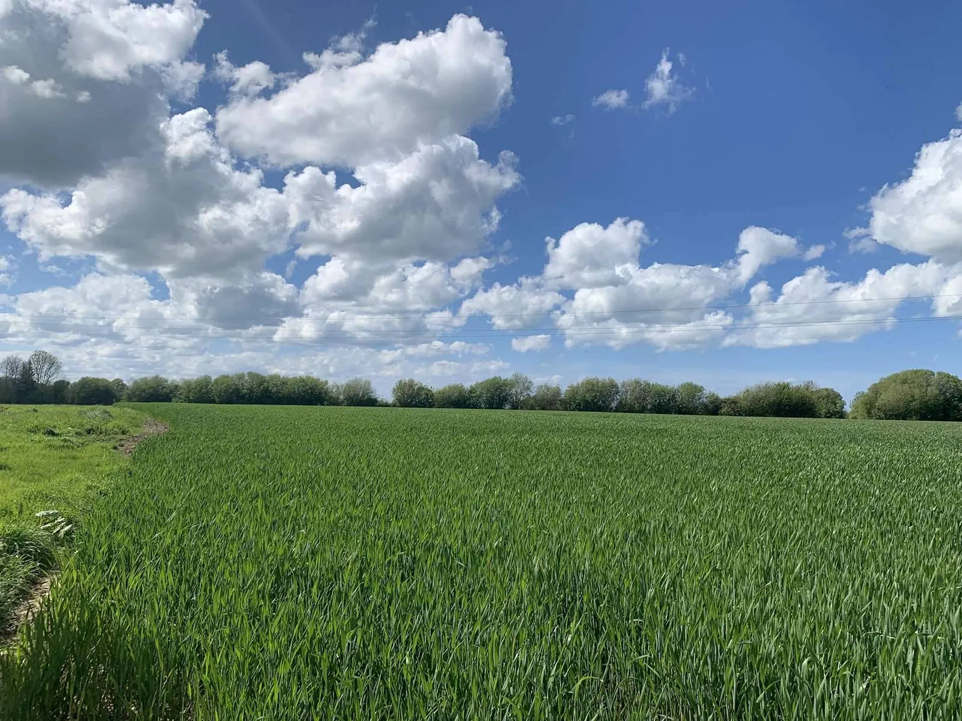 PAYS D'AUGE NORD : EN EXCLUSIVITE : A ACQUERIR REGION HONFLEUR : 35 HA de TERRES