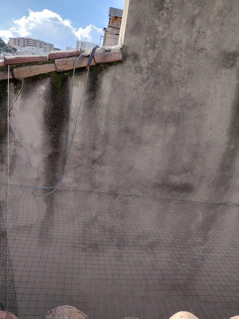 filet anti pigeon dans une cour à Martigues 
