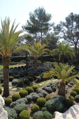 Entretien de Villa à Antibes