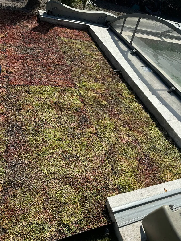 Pelouse d’un jardin changée en un espace esthétique et fonctionnel près de Bias dans les Landes : gazon, massifs, et paillage